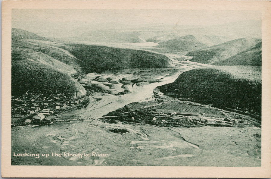 Looking up Klondyke River Yukon YT Birdseye Unused Cribb's Postcard