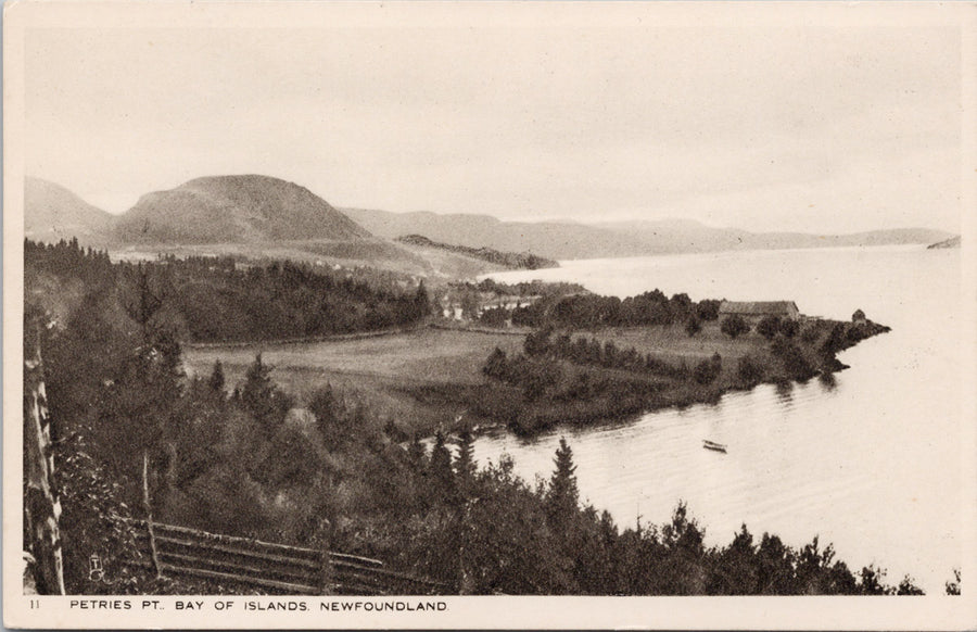 Petries Point Bay of Islands Newfoundland NL NFLD Unused Tuck Postcard 