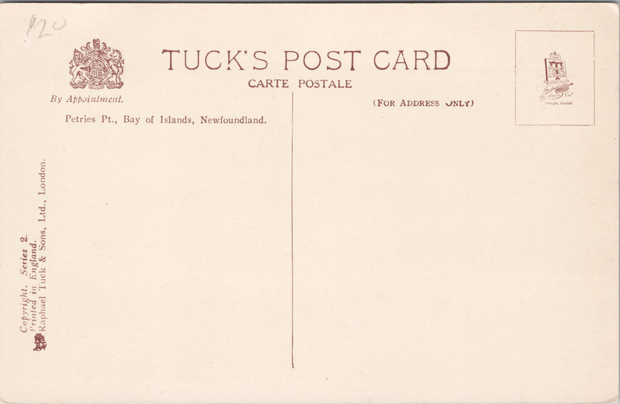 Petries Point Bay of Islands Newfoundland NL NFLD Unused Tuck Postcard SP14