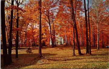 Ontario Fire College Gravenhurst Muskoka Ontario ON Autumn Unused Vintage Postcard 