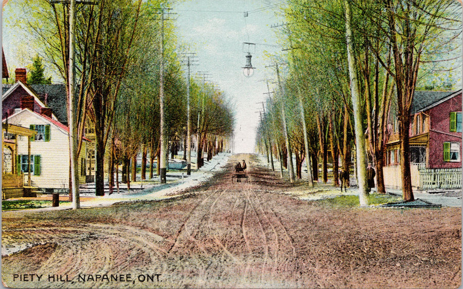 Piety Hill Napanee Ontario ON Road Street Scene Unused Postcard 