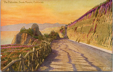 The Palisades Santa Monica CA California Unused Pacific Novelty Postcard