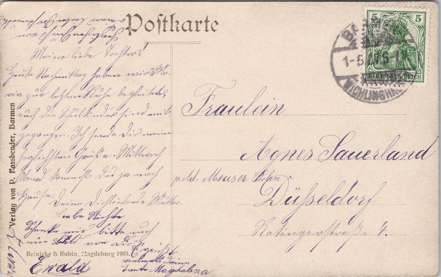 Germany Barmen Am Schwanenteich Swan Reinicke & Ruben Postcard SP14