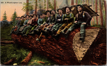 A Washington Log Fourteen Loggers Logging Forestry Workers Ax Huge Tree WA Unused Postcard 