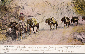 Pack Train Yukon YT Mules Miner c1906 Postcard 