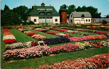 Stokes Seeds St Catharines Ontario Stokes Seed Farms ON ONT Unused Vintage Postcard 