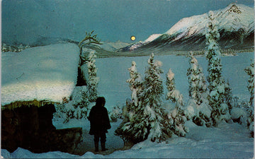 Arctic Alaska Full Moon at Twelve Noon Winter Unused Vintage Postcard 