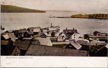 Beautiful Baddeck NS Nova Scotia Steamer Houses c1912 Warwick Bros Postcard