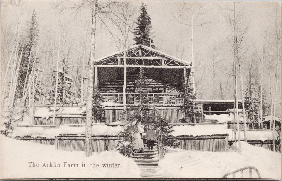 Acklin Farm Yukon YT #116 Zaccarelli's Unused Postcard 