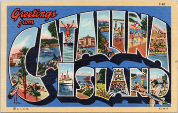 Greetings from Catalina Island CA Large Letter 2 cents Postage Due Postcard