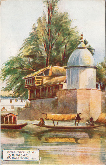 Srinagar Kashmir India Apple Tree Nala c1904 Postcard 