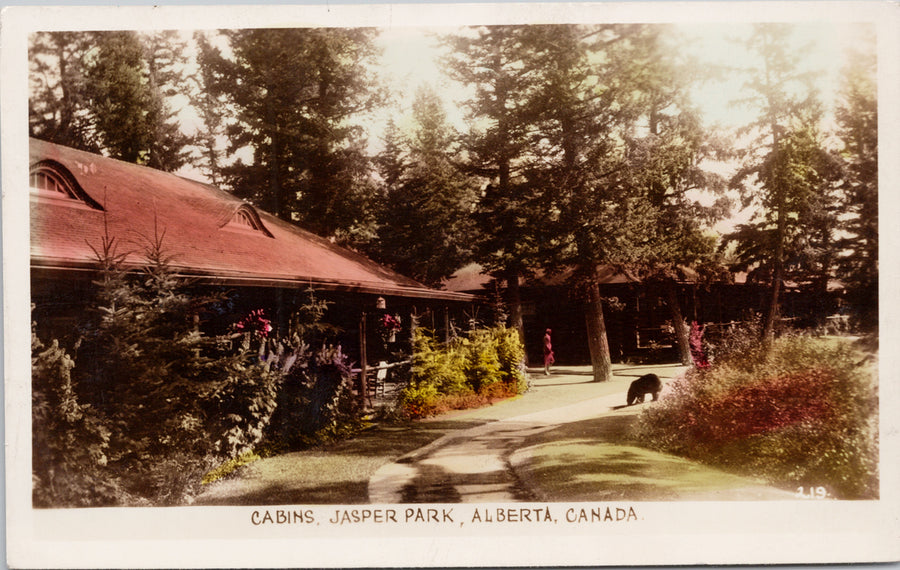 Jasper Alberta Cabins Black Bear Jasper National Park Postcard