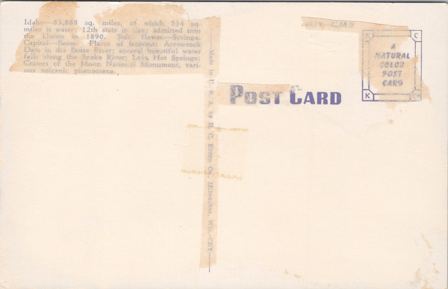 Large Letter Idaho Greetings ID Skiing Fishing Eating Blue Postcard SP15