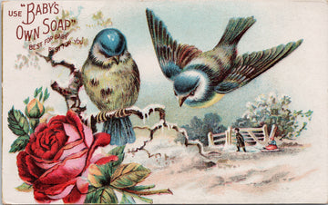 Use Baby's Own Soap Advertising Birds Red Rose Flower Postcard