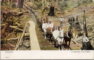 Logging in British Columbia Postcard