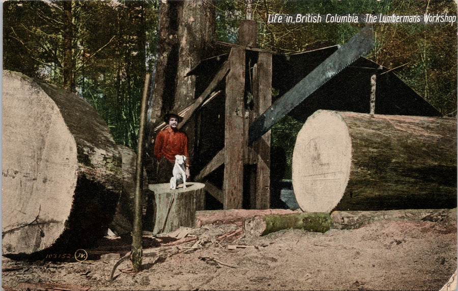 Life in British Columbia Lumberman's Workshop Postcard