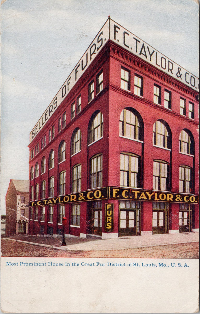 St Louis Missouri FC Taylor & Co Fur Store Postcard