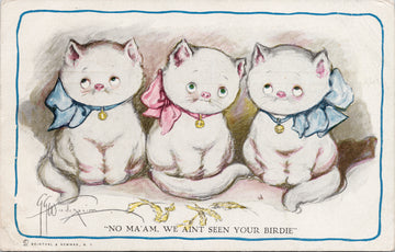 Three White Kittens Cats 'Aint Seen Your Birdie' Wiederseim Artist Postcard