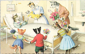 Alfred Mainzer Cats Hospital Maternity Ward Mother Baby Anthropomorphic Postcard