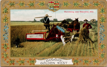Harvesting near Edmonton Alberta AB Farming Agriculture Canada's Golden West Postcard SP15 *as is