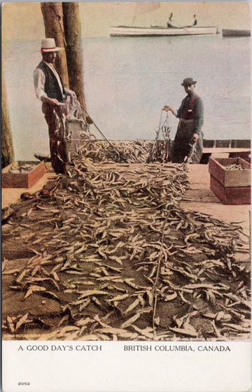 A Good Days Catch British Columbia Fishermen Fishing Fish BC Unused Postcard SP15