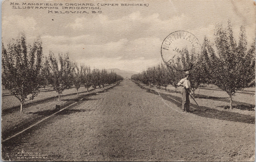 Kelowna BC Mrs Mansfields Orchard Upper Bench Postcard 