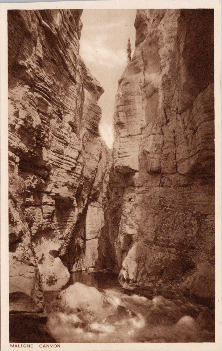 Maligne Canyon Jasper National Park AB Alberta Postcard 