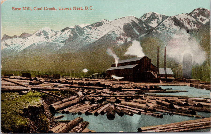 Saw Mill Coal Creek Crows Nest BC near Fernie British Columbia c1913 Warner AB Cancel Postcard 