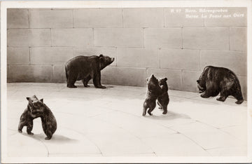 Bears Cubs Bern Barengraben Switzerland Postcard