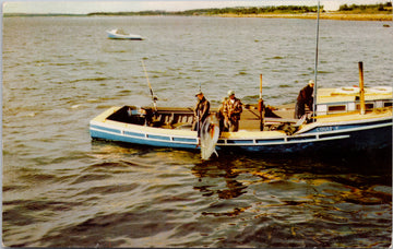 Tuna Fishing Wedgeport NS Nova Scotia 'Louis V' Boat Fishermen Postcard
