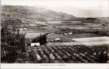 Terrace BC British Columbia Birdseye Farmlands Unused RPPC Postcard