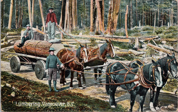 Lumbering Vancouver BC British Columbia Logging MacFarlane Postcard SP16 *as is