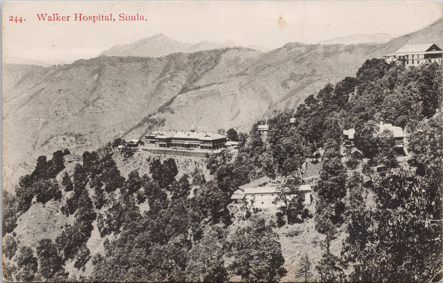 Walker Hospital Simla India Postcard 