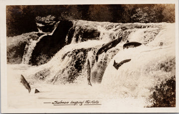 Salmon Fish Leaping the Falls Unused Gowen Sutton RPPC Postcard 