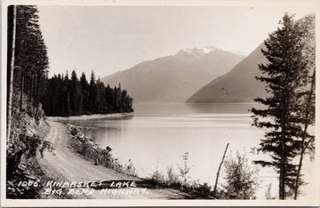 Harmon #1005 Kinbasket Lake Big Bend Highway BC British Columbia c1950s Moose Stamp Canada RPPC Postcard