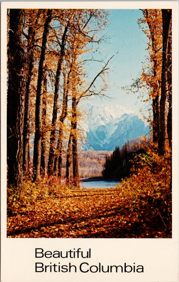 Hazelton BC Fall Scene Beautiful British Columbia Traveltime QSL Postcard