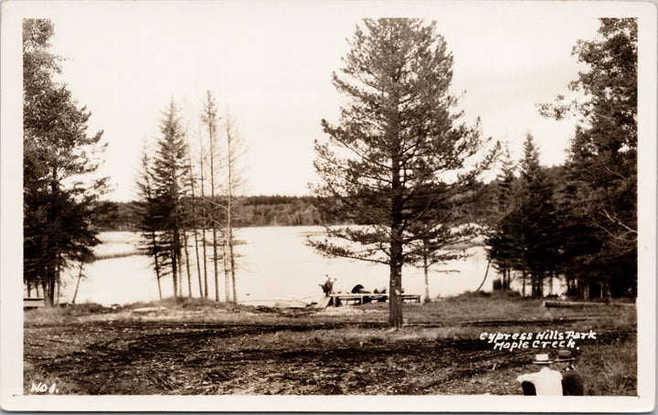 Cypress Hills Park Maple Creek Saskatchewan SK Sask Unused RPPC Postcard