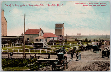 Olds Alberta Busy Spot Grain Elevator Railway Train Station 'Progressive Olds' O.S. Moore Private Postcard SP16