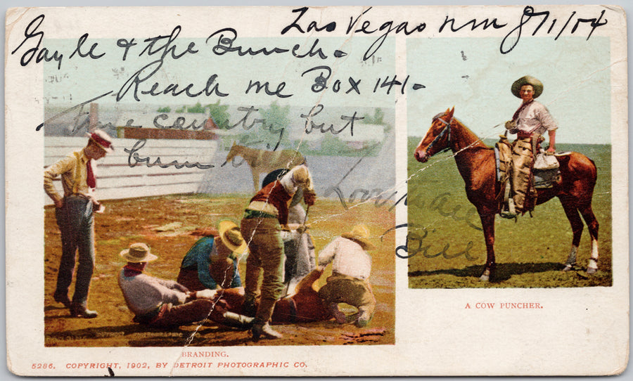 Branding Cowboy Puncher Cowboys Rancher Detroit Photographic Postcard 