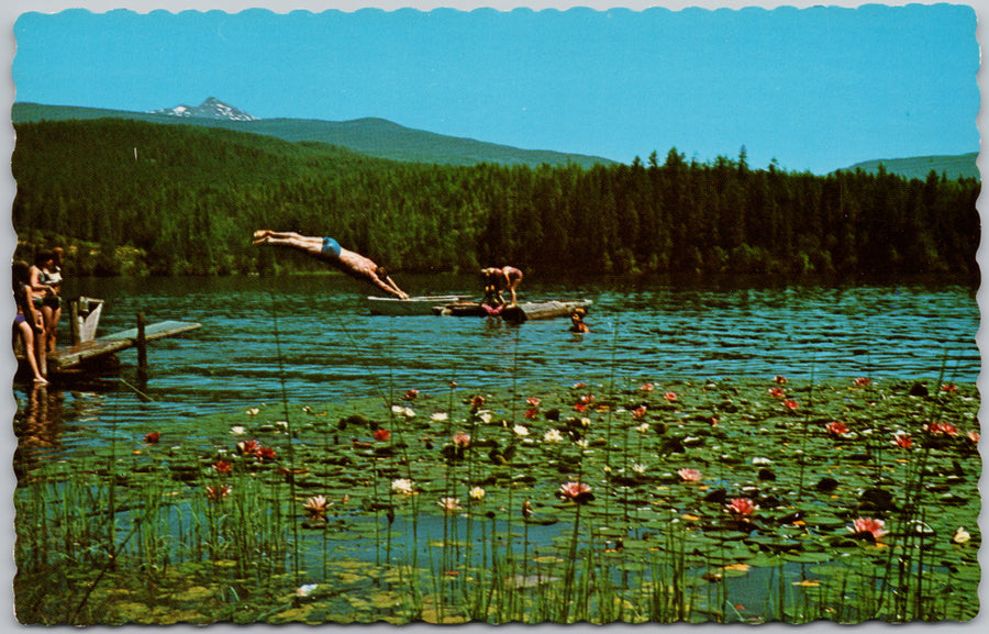 Dutch Lake Resort Clearwater BC Postcard