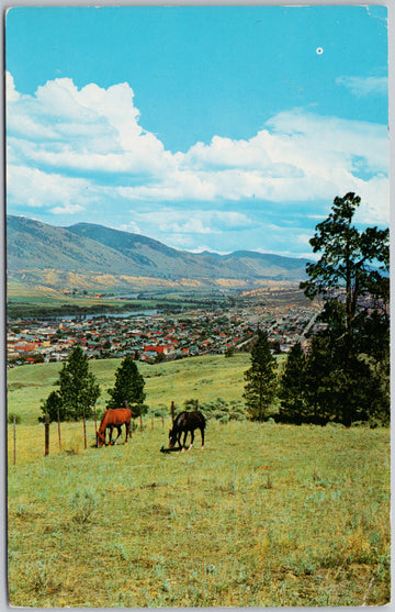 Kamloops BC British Columbia Canada Horses Grazing Vintage Postcard