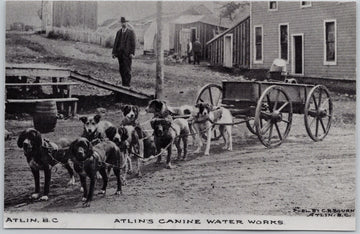 Atlin's Canine Water Works Atlin British Columbia BC Dogs Wagon Canada RPPC Postcard