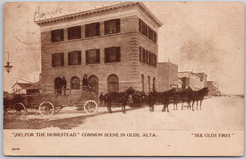 Olds Alberta 'Ho for the Homestead' Postcard