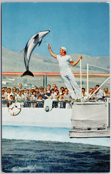 Marineland Of The Pacific Jumping Porpoise Sailor CA California Unused Vintage Postcard 