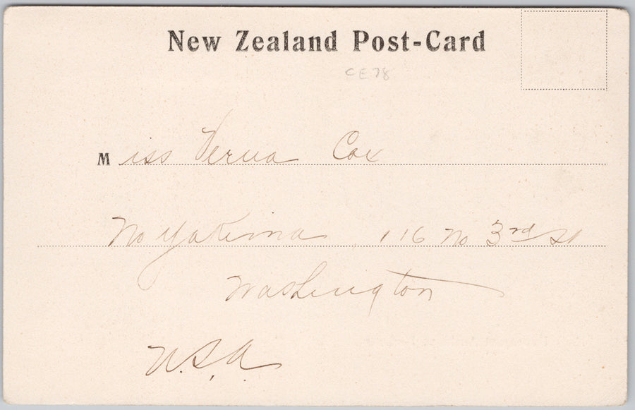 Devonport Auckland Harbour New Zealand Postcard SP17