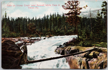 Falls on Horse Creek near Bennett White Pass Yukon Ry  Postcard 