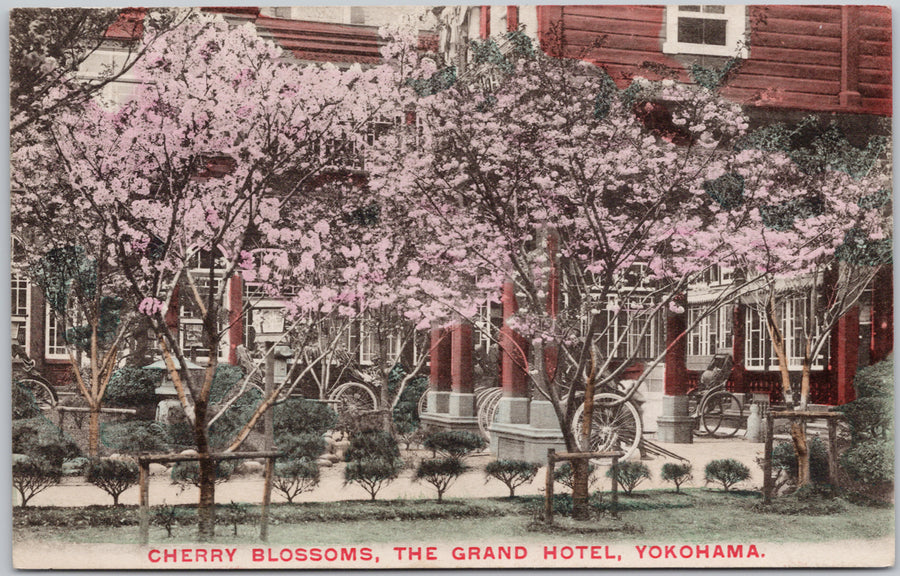 Yokohama Japan Cherry Blossoms The Grand Hotel Postcard