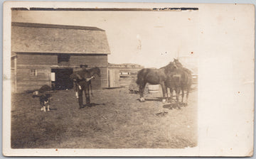 Milestone Saskatchewan Man Carrying Foal Postcard 