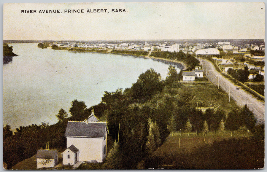 River Avenue Prince Albert SK Postcard 