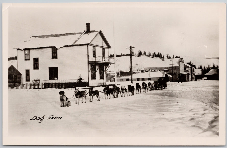 Whitehorse Yukon Dog Team in front of former Canadian Bank of Commerce Bldg RPPC Postcard